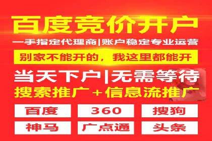 SEM搜索引擎优化案例：如何提升网站流量和转化率